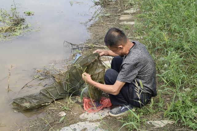 网购一种捕鱼“神器”，湖北6旬农民天天享受“鱼”乐，看看是啥