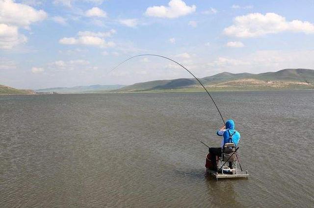 钓鱼是门艺术！懂得这些野钓技巧，才算是真正的钓鱼高手