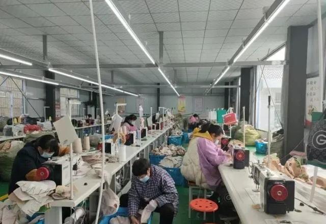 陕西安康：产业带着村民富 机制引着乡村兴